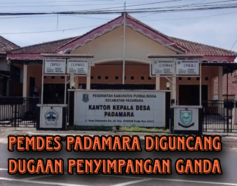 Dugaan Penyimpangan Aset Dan Program Sapi Di Desa Padamara Disorot! Au