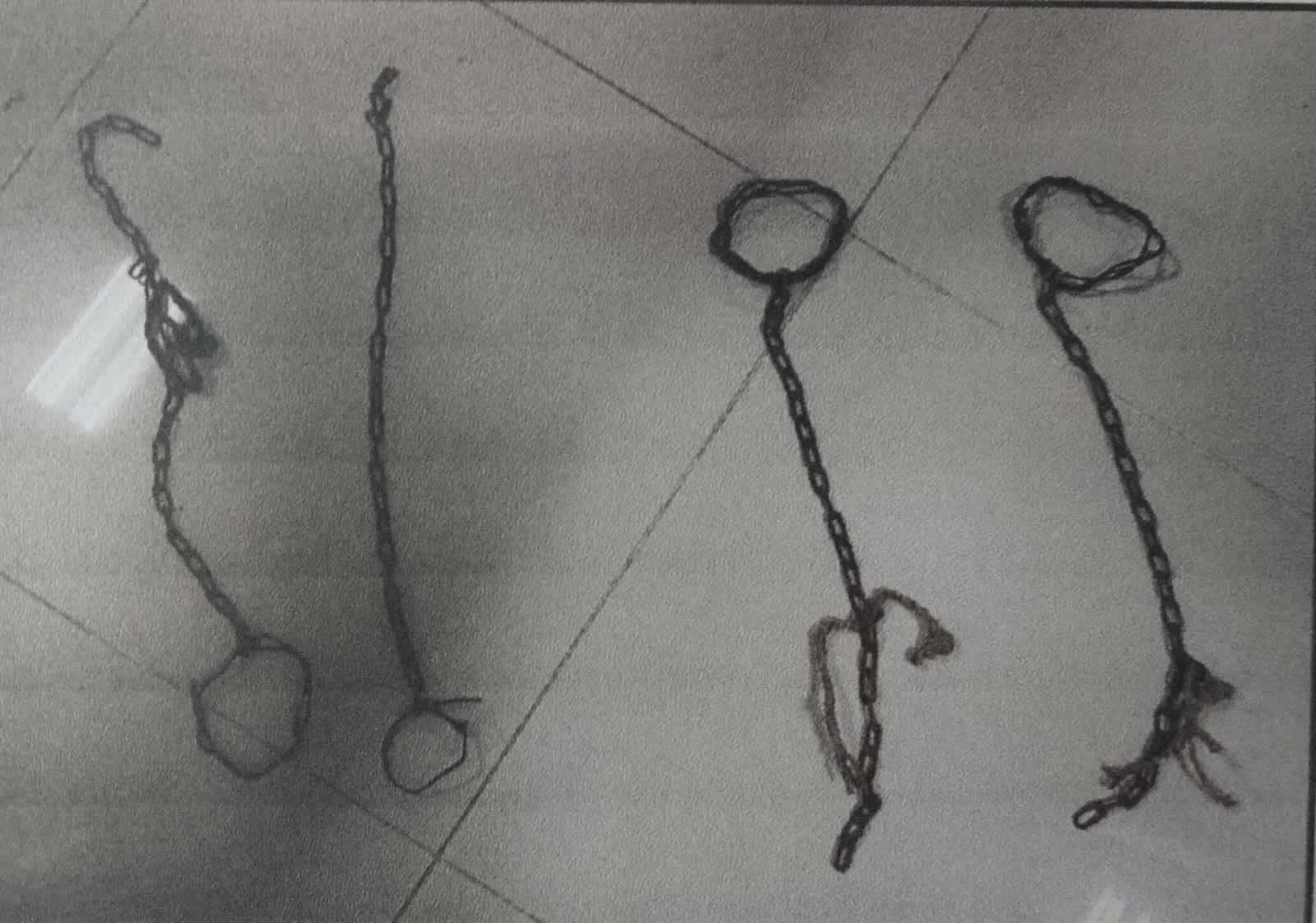 Polres Sumenep Tangkap Pelaku Pencurian Sapi, Satu Komplotan Sebelumny