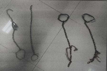 Polres Sumenep Tangkap Pelaku Pencurian Sapi Satu Komplotan Sebelumnya