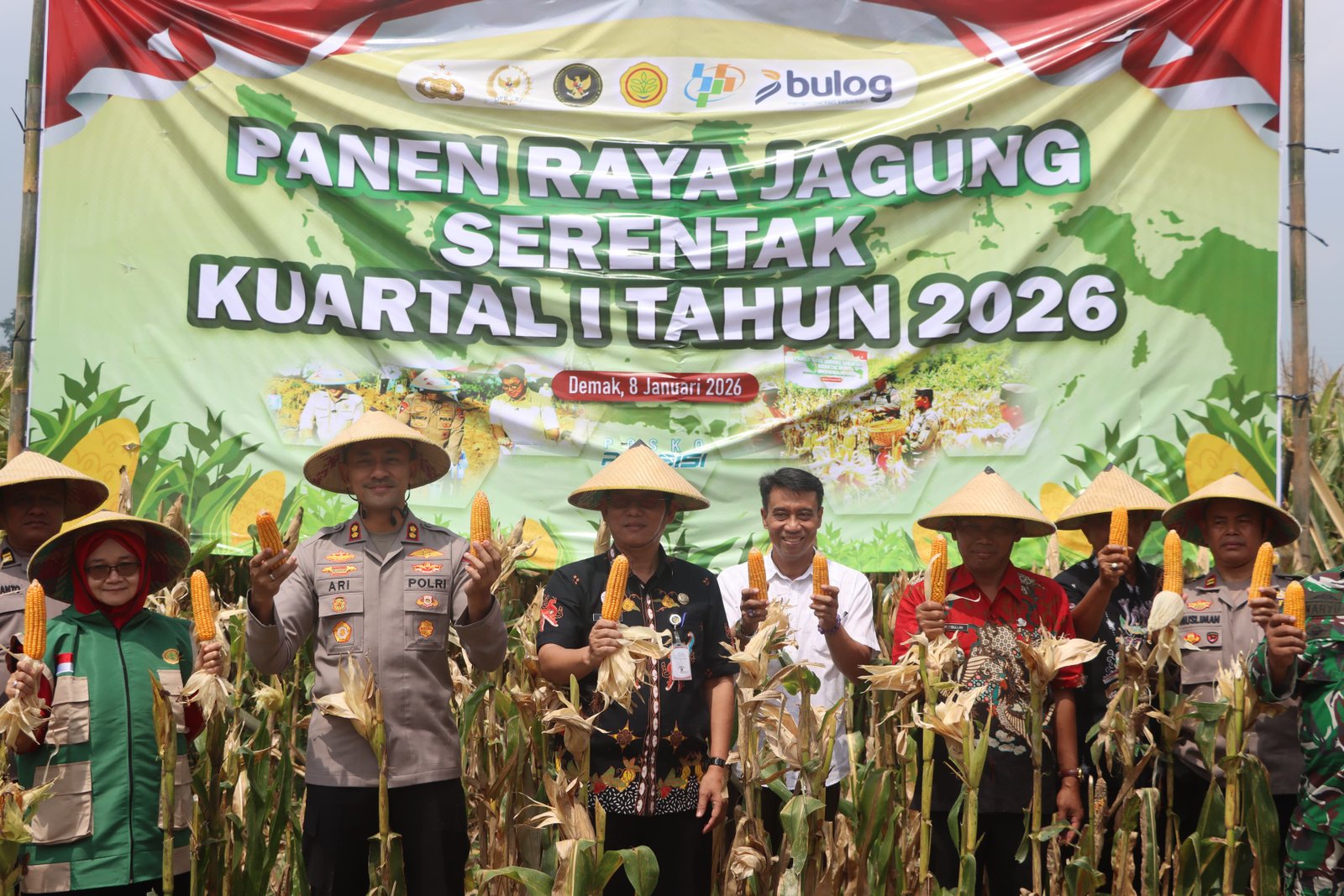 Polres Demak Panen Raya Jagung Serentak Perkuat Dukungan Swasembada Pa