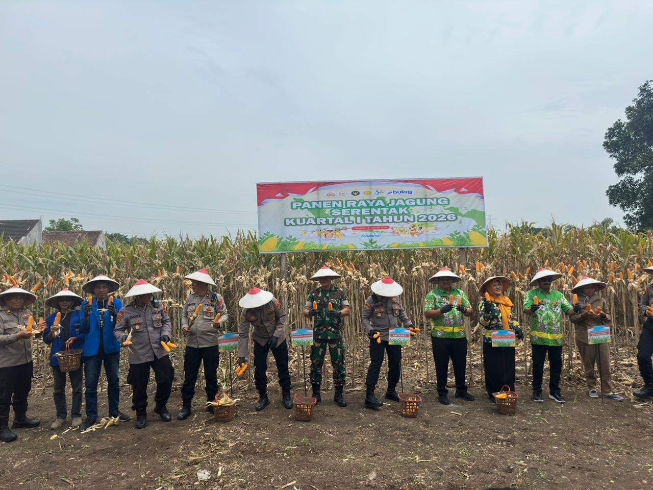 Panen Jagung Serentak Kuartal I 2026 Bersama Kapolri, Kapolres Pasurua